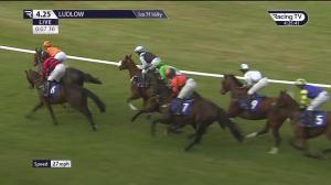 Video preview image for Ludlow 16:25 - NHS Are At The Races Mares' Open National Hunt Flat (4)