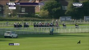 Video preview image for York 15:15 - Download The Casumo App Today Handicap (2)