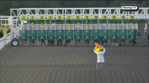 Video preview image for Kempton Park 18:00 - Try Our New Price Boosts At Unibet Nursery Handicap (5)