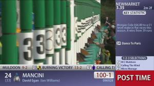 Video preview image for Newmarket 15:35 - Together For Racing International Cesarewitch (Heritage Handicap) (2)