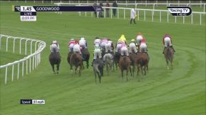 Video preview image for Goodwood 13:45 - C Lewis Worldwide Alderbrook Handicap (Professional Jump Jockeys) (4)