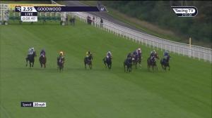 Video preview image for Goodwood 14:55 - Great Sussex Way Handicap (3)