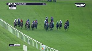 Video preview image for Goodwood 17:15 - Halcyon Build Handicap (4)