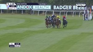 Video preview image for Wincanton 14:20 - Mansionbet Faller Insurance Handicap Hurdle (3)