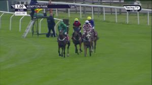Video preview image for Kempton Park 13:00 - Jockey Club Supporting Racing Staff Week Juvenile Hurdle (3)