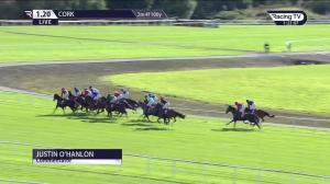 Video preview image for Cork 13:20 - Connolly's Red Mills Irish European Breeders Fund Auction Maiden Hurdle
