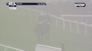 Video preview image for Exeter 13:00 - Best Mate Novices' Limited Handicap Chase (3)