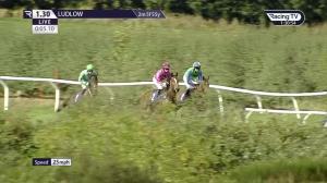 Video preview image for Ludlow 13:30 - Klf Insurance Ltd Mares' Novices' Hurdle (4)