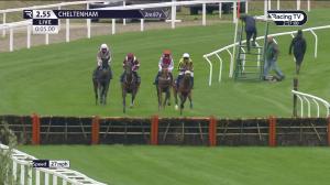 Video preview image for Cheltenham 14:55 - Masterson Holdings Hurdle (2)
