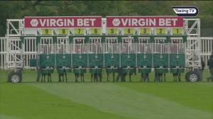Video preview image for Newbury 16:15 - Conundrum Consulting EBF Fillies' Novice Stakes (4) (Div 2)