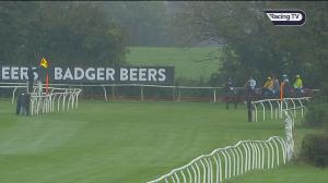 Video preview image for Wincanton 15:55 - Racehorse Owner's Association Supporting Racing Welfare Novices' Hurdle (4)