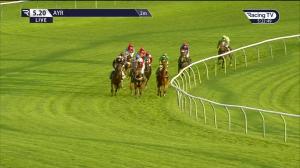 Video preview image for Ayr 17:20 - Book Your Christmas Break @ Western House Open National Hunt Flat (5)