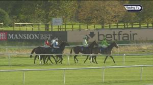 Video preview image for Huntingdon 14:50 - Mansionbet Best Odds Guaranteed Novices' Chase (3)