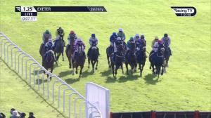 Video preview image for Exeter 13:25 - Betway Novices' Hurdle (3)
