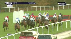 Video preview image for Exeter 15:25 - Betway Mares' Handicap Hurdle (4)