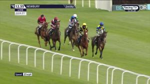 Video preview image for Newbury 12:55 - Agetur UK Novices' Hurdle (4)