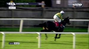 Video preview image for Sandown Park 14:10 - John O'Leary Memorial Future Stars Intermediate Chase (Listed) (1)