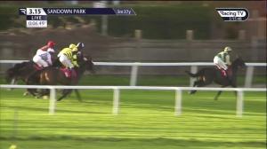 Video preview image for Sandown Park 15:15 - Seeyouatmidnight Veterans' Handicap Chase (Leg 9) (2)