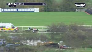 Video preview image for Limerick 13:55 - Fexco Asset Finance Handicap Hurdle (Div 1)
