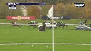 Video preview image for Ayr 14:50 - Coral Novices' Limited Handicap Chase (4)