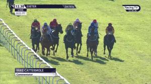 Video preview image for Exeter 12:30 - Mansionbet Proud To Support British Racing Juvenile Hurdle (4)