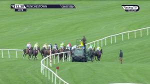 Video preview image for Punchestown 12:30 - William Hill Ireland Pick Your Places Handicap Chase 