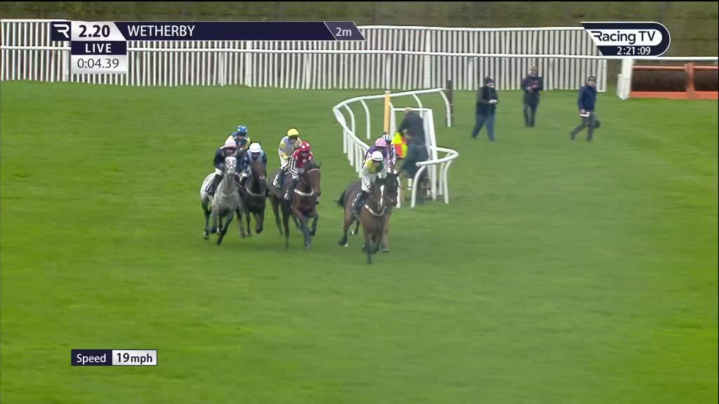 William Cody Race Record, Statistics & Wins Racing TV