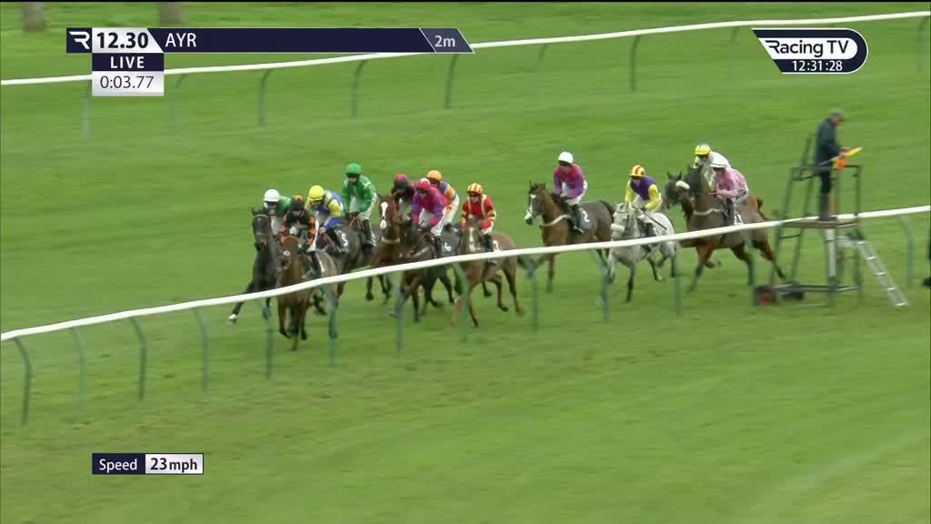 Lebowski (Ire) Race Record, Statistics & Wins Racing TV