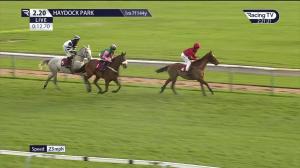 Video preview image for Haydock Park 14:20 - Oakmere Homes "Introductory" Hurdle (2)