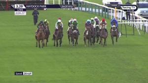 Video preview image for Haydock Park 15:20 - Chillblast Handicap Hurdle (3)