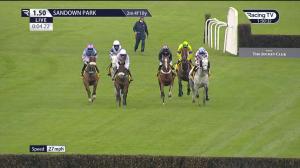 Video preview image for Sandown Park 13:50 - Betfair Daily Rewards Novices' Limited Handicap Chase (3)