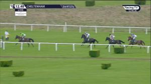 Video preview image for Cheltenham 12:40 - bearrene.com Novices' Chase (2)