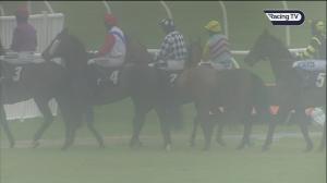 Video preview image for Market Rasen 11:55 - Chestnut Homes Selling Handicap Hurdle (5)