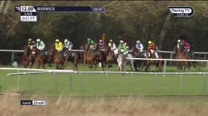 Video preview image for Warwick 12:00 - Poundland - This Is Your Land Novices' Handicap Hurdle (5)
