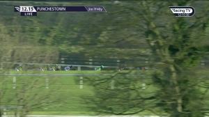 Video preview image for Punchestown 12:15 - Tote Jackpot Is Back Handicap Chase