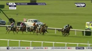 Video preview image for Cheltenham 13:25 - Paddy Power Novices' Chase (Dipper) (Grade 2) (1)