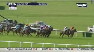 Video preview image for Cheltenham 14:00 - Paddy Power New Year's Day Handicap Chase (Grade 3) (1)