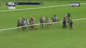 Video preview image for Ayr 13:20 - Western House Hotel Gift Vouchers Maiden Hurdle (4)