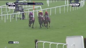 Video preview image for Sandown Park 12:05 - Unibet Extra Place Races Every Day Juvenile Hurdle (3)