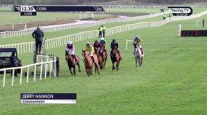 Video preview image for Cork 12:30 - Come Racing To Cork Rated Novice Hurdle
