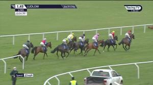 Video preview image for Ludlow 13:45 - Ludlow Brewery Handicap Hurdle (3)