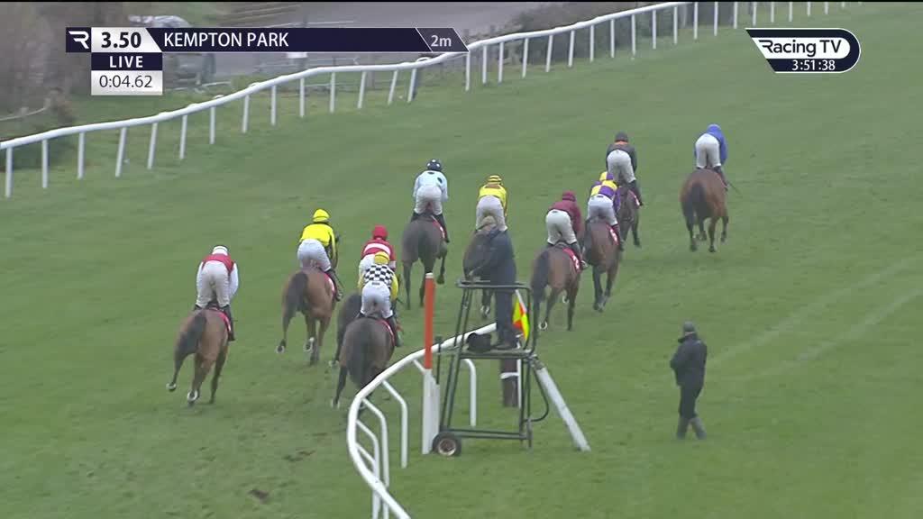 The Betfair Hurdle your essential runnerbyrunner guide