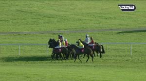 Video preview image for Punchestown 13:45 - Punchestown Gift Vouchers Mares Handicap Hurdle