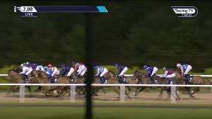 Video preview image for Dundalk 19:00 - dundalkstadium.com Handicap