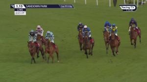 Video preview image for Sandown Park 13:15 - Virgin Bet Handicap Chase (2)