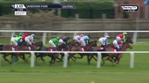 Video preview image for Sandown Park 14:55 - Virgin Bet Heroes Handicap Hurdle (Grade 3) (1)