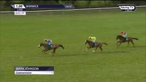 Video preview image for Warwick 13:00 - Virgin Bet Novices' Hurdle (4)