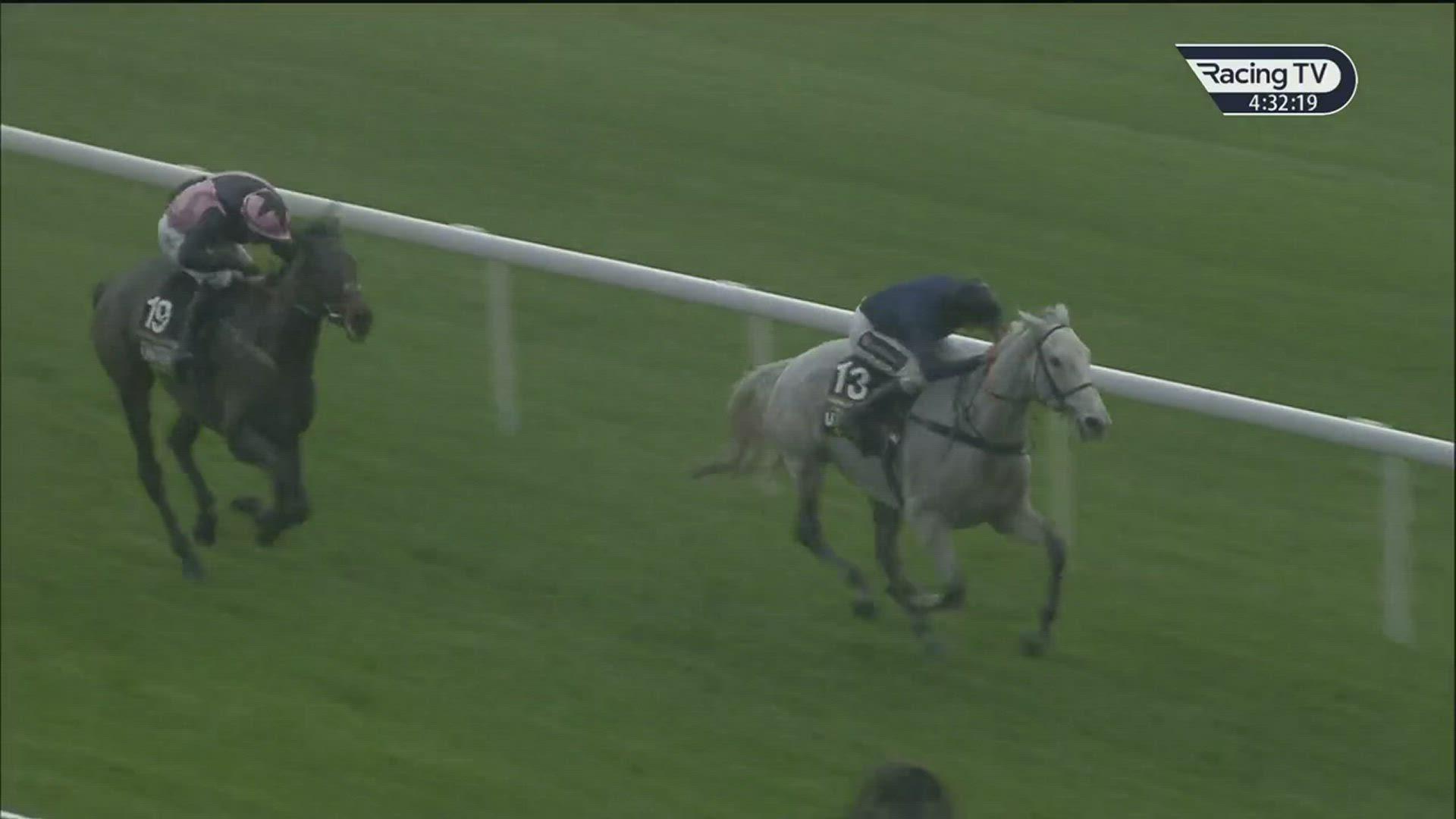 leopardess grand national