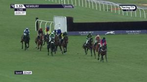 Video preview image for Newbury 13:55 - Federation Of Bloodstock Agents Maiden Hurdle (4)
