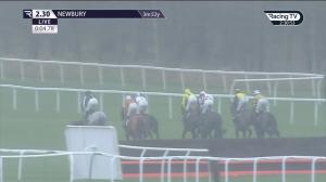 Video preview image for Newbury 14:30 - Karen Jackson's "Bring Your Own Sunshine" Memorial Mares' Handicap Hurdle (4)